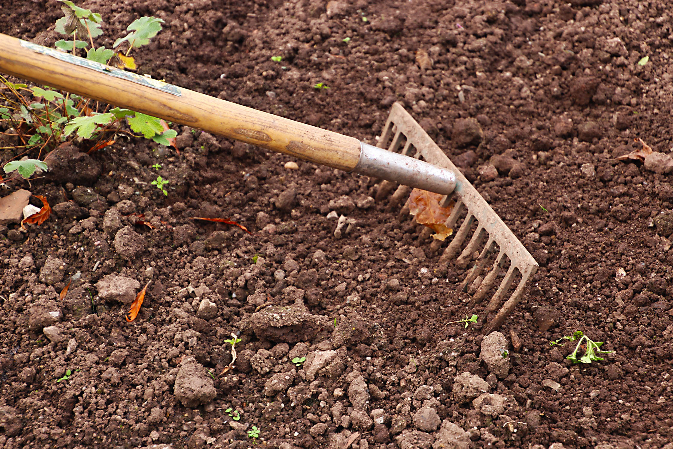 Soil Compaction Gardening At USask College Of Agriculture And 